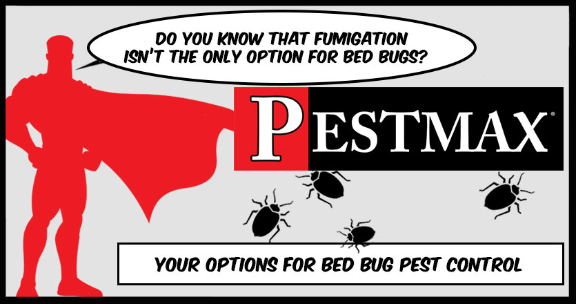 Fumigation for Bed Bugs, is this My Best Option?