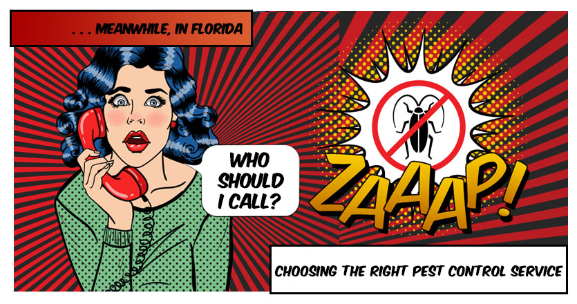 Woman uncertain to call for Pest Control Service in Fort Myers, FL. She should call PestMax