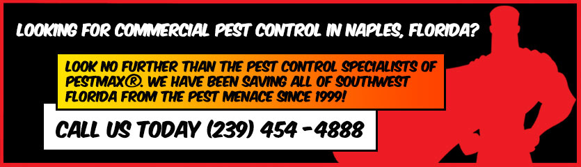 Click this image to contact PestMax about Commercial Pest COntrol Services in Naples FLorida and all of southwest Florida