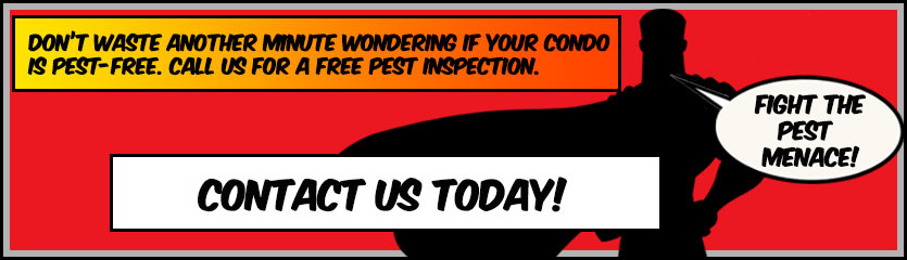Click here to contact us and schedule a free pest inspection for your home or condo | PestMax Pest Control Blog