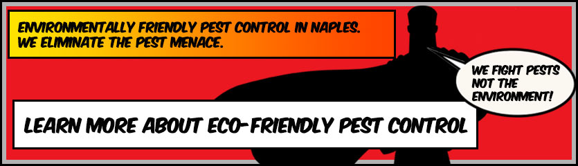eco-friendly-pest-control-company-naples-florida