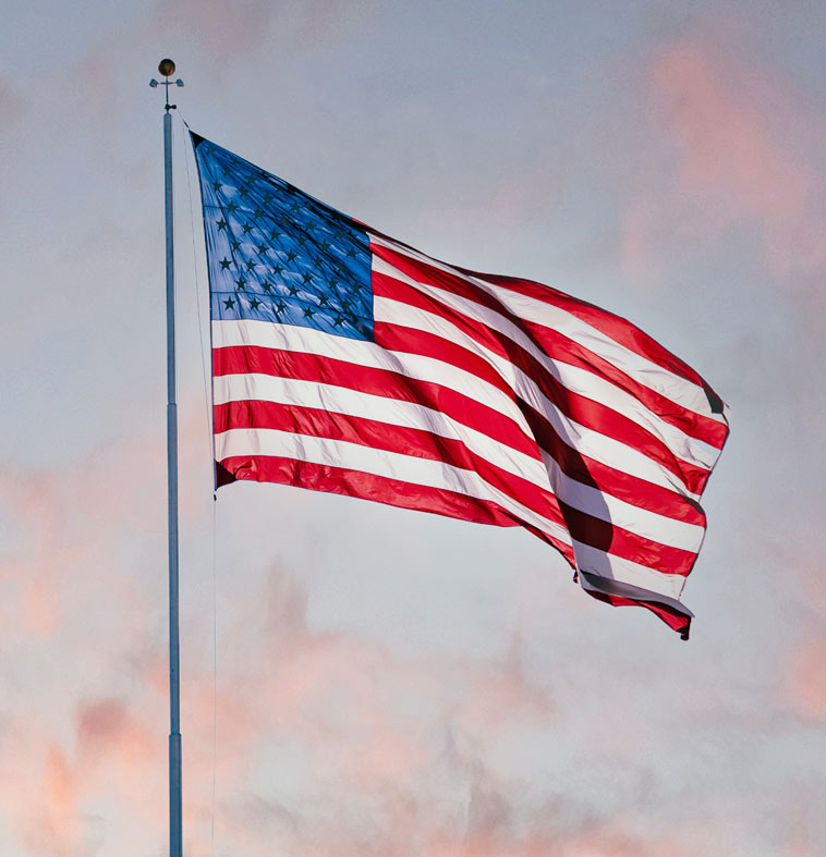 American Flag: Pest Control for State & Local Government Offices in Southwest Florida