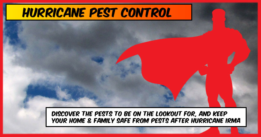 Pest Control after Hurricane Irma: Hurricane Pest Control Southwest Florida | PestMax Pest Control Experts