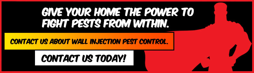 In Wall Pest Control | PestMax Pest Control Blog