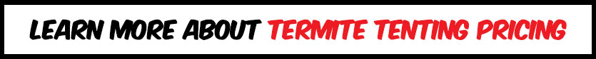 learn-more-about-termite-tenting-pricing