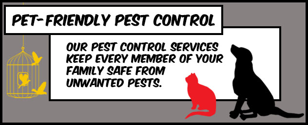 Pet Friendly Pest Control from PestMax® Pest Control Solutions