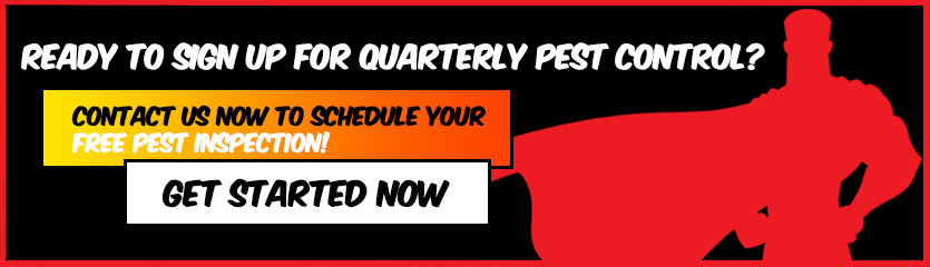 Quarterly Pest Control Naples, Florida: Click Here to Start Today | PestMax Fort Myers Pest Control